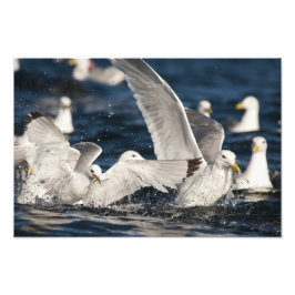 新興峡谷 フォトプリント           