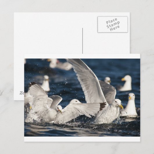 新興峡谷 ポストカード (正面/裏面)