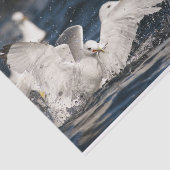 新興峡谷 薄葉紙 (詳細)