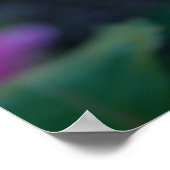 新芽ピンクのバラ ポスター (角)