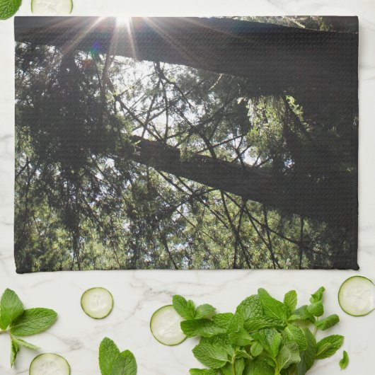 新製品 キッチンタオル (折り畳み)