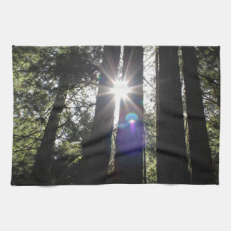 新製品 キッチンタオル