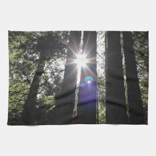 新製品 キッチンタオル (横)