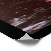 新規カヤカー ポスター (角)