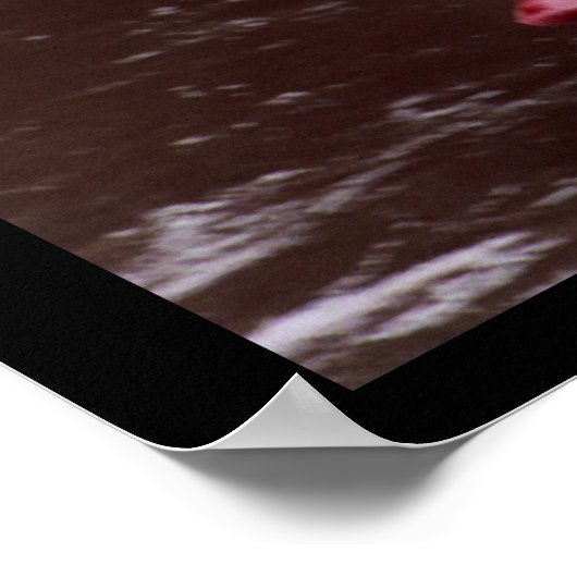 新規カヤカー ポスター (角)