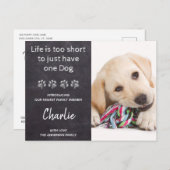 新規ペット新規パピーシャワー招待状 案内ポストカード (正面/裏面)