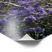 新農園で咲くジャカランダの木 フォトプリント            (角)