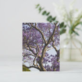 新農園で咲くジャカランダの木 ポストカード (スタンド正面)