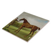 新郎が保持するジョージStubbs |の光沢c.1760-62 タイル (側面)