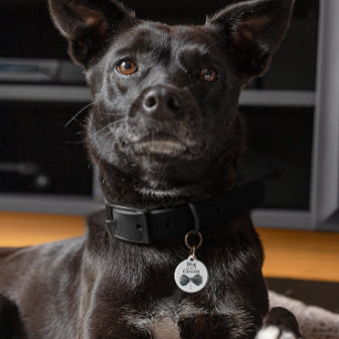 新郎の犬  犬が入っ結婚た ペット　ネームタグ