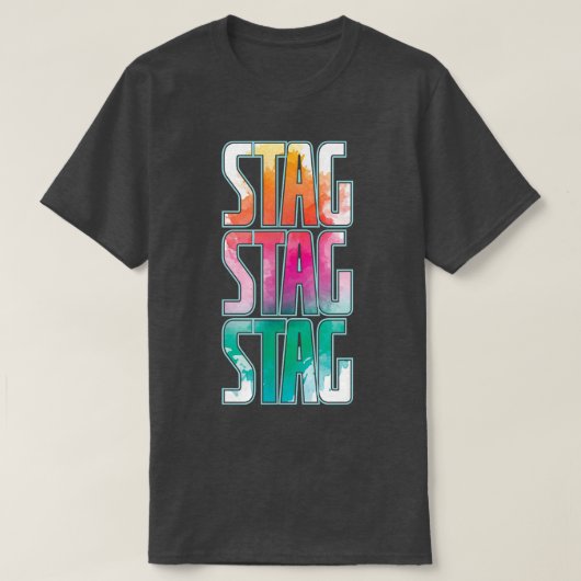 新郎独身最後の楽しい夏 Tシャツ (デザイン正面)