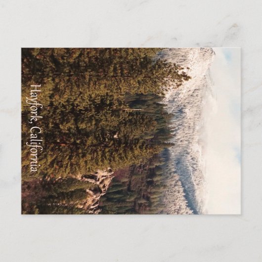 新雪のヨッラ・ボリー… ポストカード (正面)