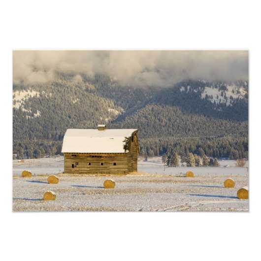 新雪の後の牧場の納屋と干し草の俵2 フォトプリント            (正面)