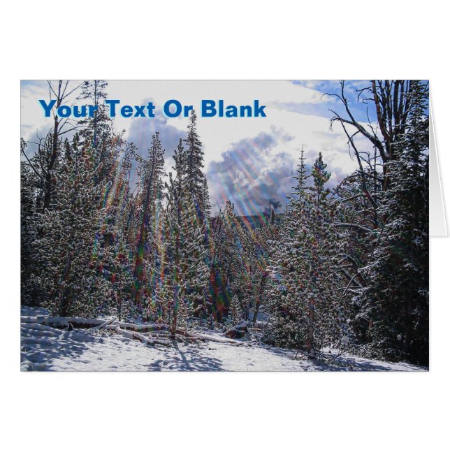 新雪オンラピッド稲妻 (正面横)