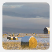 新雪素朴の後の納屋と干し草の葉3 スクエアシール (正面)