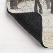 新馬 マウスパッド (コーナー)