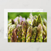 新鮮だ!アスパラガスはがき ポストカード (正面/裏面)