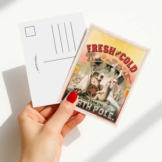 新鮮で寒い – 北極から直接ビール ポストカード