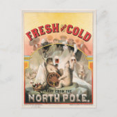 新鮮で寒い – 北極から直接ビール ポストカード (正面)