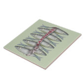 新鮮なイワシ タイル (側面)