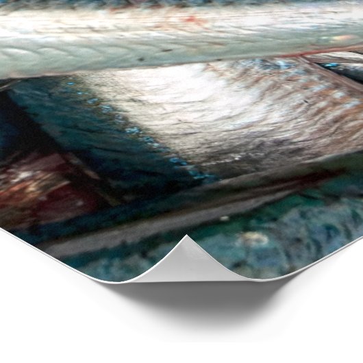 新鮮なイワシ ポスター (角)