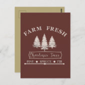 新鮮なクリスマスツリーを栽培する ポストカード (正面/裏面)