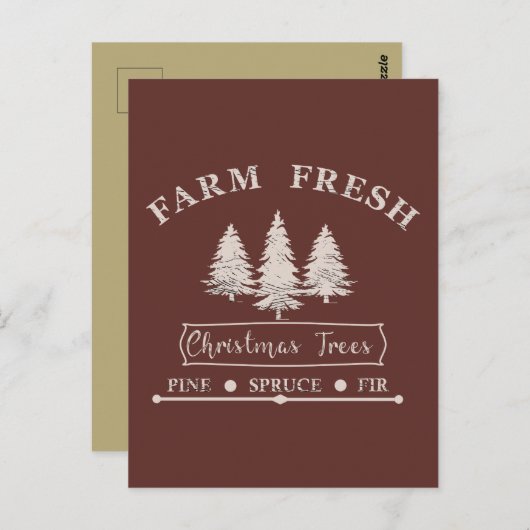 新鮮なクリスマスツリーを栽培する ポストカード (正面/裏面)