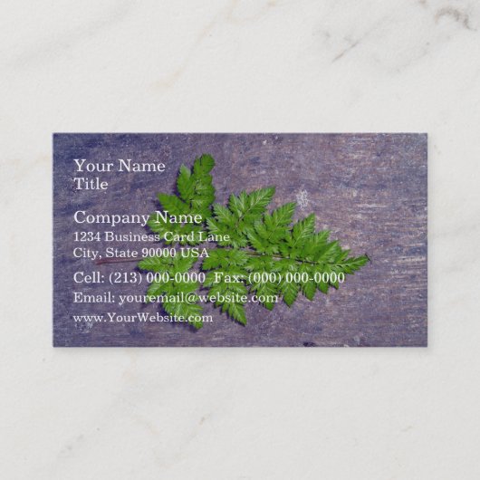 新鮮なシダの葉 名刺 (正面)