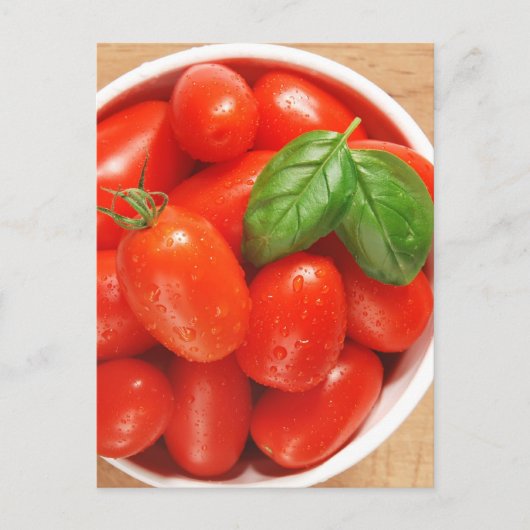 新鮮なトマトを栽培する ポストカード (正面)