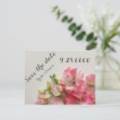 新鮮なピンクの甘いエンドウ セーブザデート (スタンド正面)