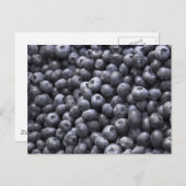 新鮮なブルーベリー ポストカード (正面/裏面)