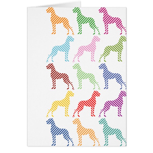 新鮮な大きなダン模様 (正面)