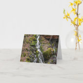 新鮮な春の滝….. カード (黄色い花)