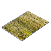 新鮮な春の緑の草の背景、《写真》ぼけ味ef ノートブック (左側)