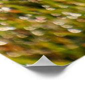 新鮮な春の緑の草の背景、《写真》ぼけ味ef ポスター (角)