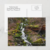 新鮮な春水….ポストカード ポストカード (正面/裏面)