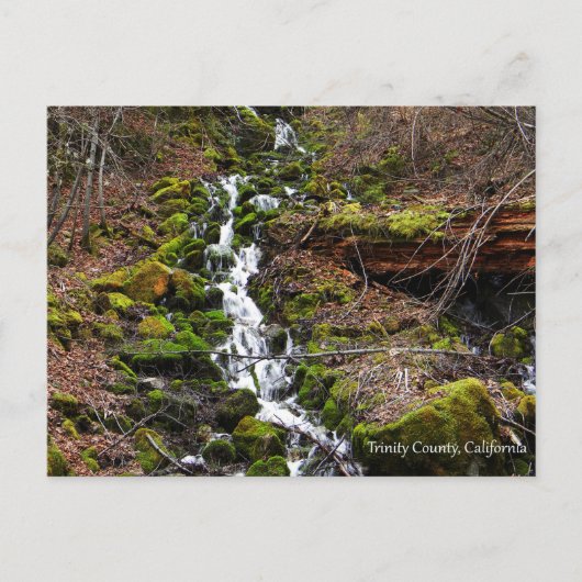 新鮮な春水….ポストカード ポストカード (正面)