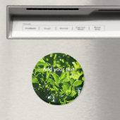 新鮮な春葉グリーン自然撮影。 マグネット (インサイチュ (食洗機))