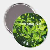 新鮮な春葉グリーン自然撮影。 マグネット (正面/裏面)