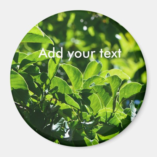 新鮮な春葉グリーン自然撮影。 マグネット (正面)