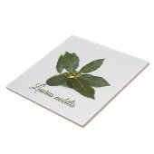 新鮮な月桂樹葉の タイル (側面)