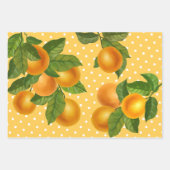 新鮮な柑橘類の素朴な田舎の水色 ラッピングペーパーシート (正面3)