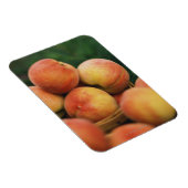 新鮮な桃 マグネット (右側)