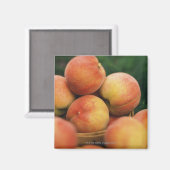 新鮮な桃 マグネット (正面/裏面)