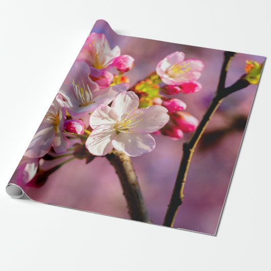 新鮮な桜の花が庭で ラッピングペーパー (アンロールド)