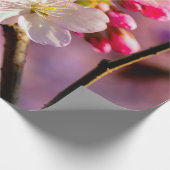 新鮮な桜の花が庭で ラッピングペーパー (角)