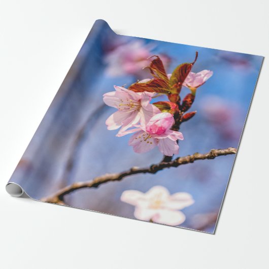 新鮮な桜の花の美しさ ラッピングペーパー (アンロールド)