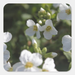 新鮮な白い夏の庭の花と緑の葉 スクエアシール