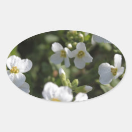 新鮮な白い夏の庭の花と緑の葉 楕円形シール
