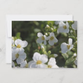 新鮮な白い庭の花のリハーサル夕食 招待状 (裏面)